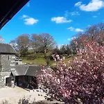 Oda ve Kahvaltı Crow Country 4*