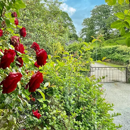 Frühstückspension Crow How Country Ambleside