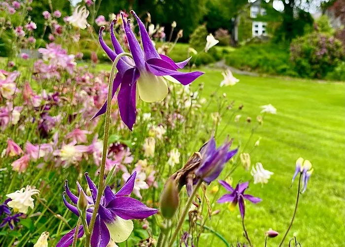 Crow How Country 4* Ambleside