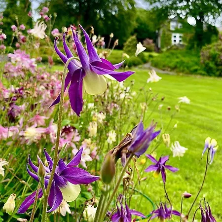 Crow Country 4* Ambleside